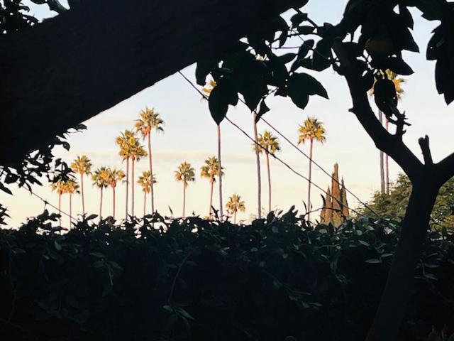 - Private With 2 Shared Baths And Hosts Onsite Homestay Costa Mesa